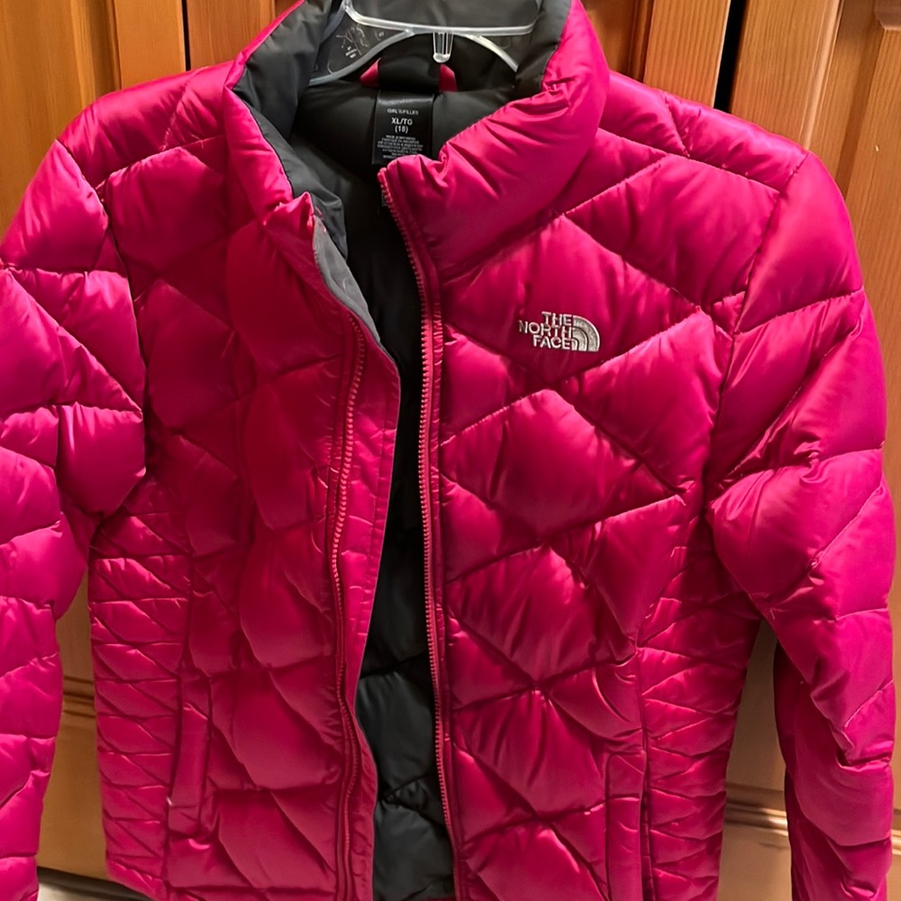 The North Face Pink Puffer Winter Jacket
